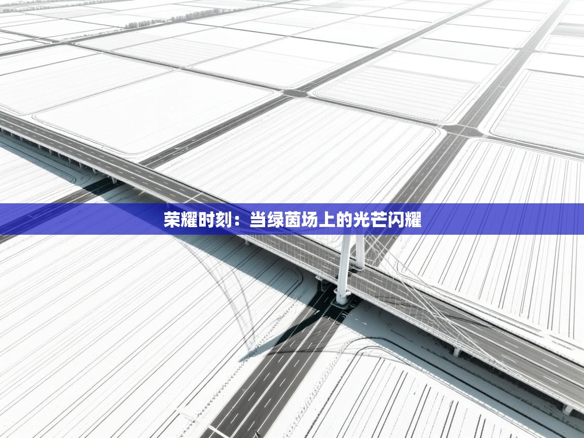 荣耀时刻:当绿茵场上的光芒闪耀 第1张